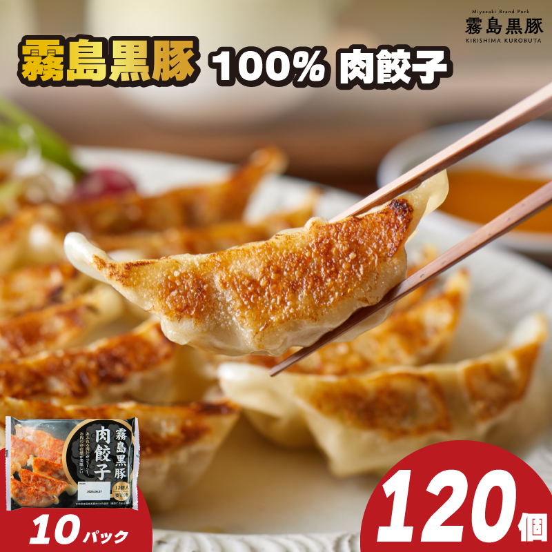 訳あり 霧島黒豚肉100％ 肉餃子 120個 冷凍 12個×10パック 小分け 冷凍餃子 大容量餃子 国産原料餃子 簡単調理餃子 ぎょうざ ギョーザ
