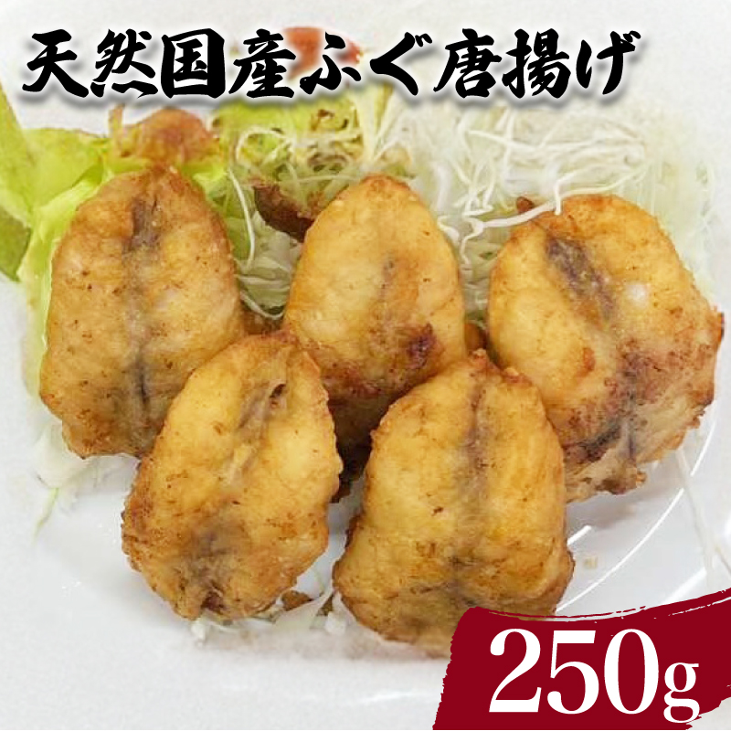 天然国産 ふぐ から揚げ 250g 下関 山口