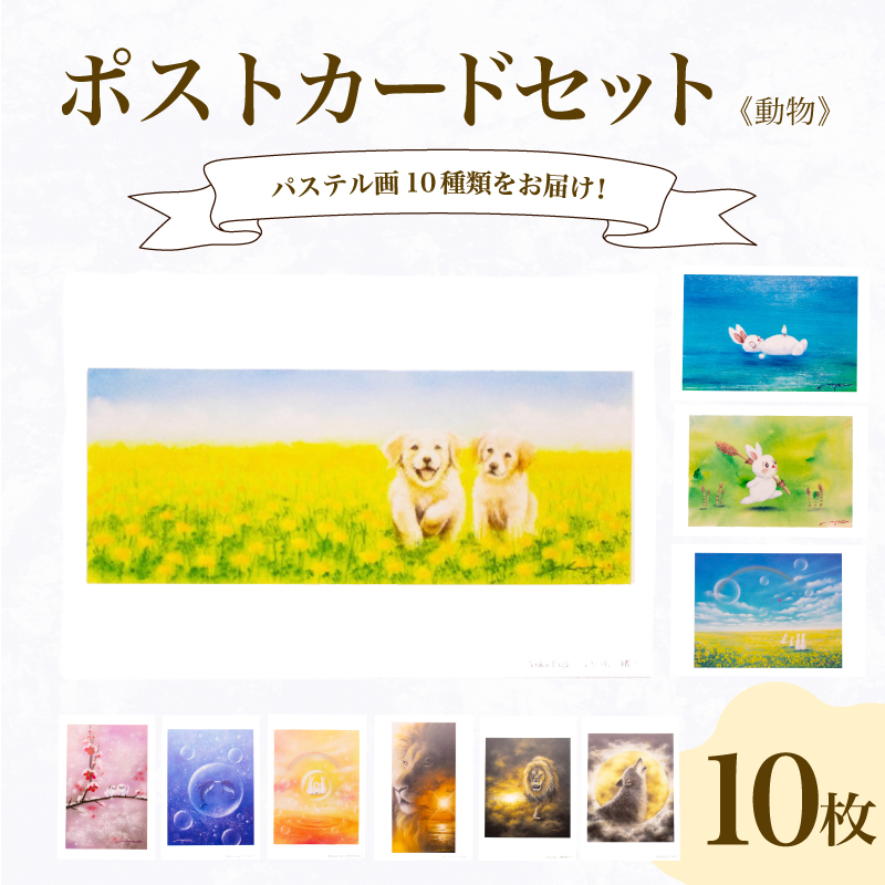 ポストカード 10種 セット 動物 シリーズ