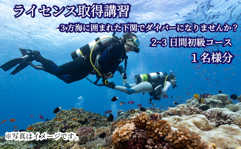 初級 スキューバダイビング ライセンス取得コース Cカード チケット マリンスポーツ 海 下関 山口