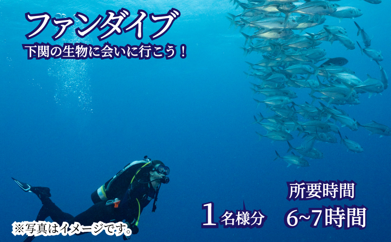 ファン ダイブ 2ダイブ 1名様分 ビーチ スポーツ マリンスポーツ アクティビティ 下関 山口