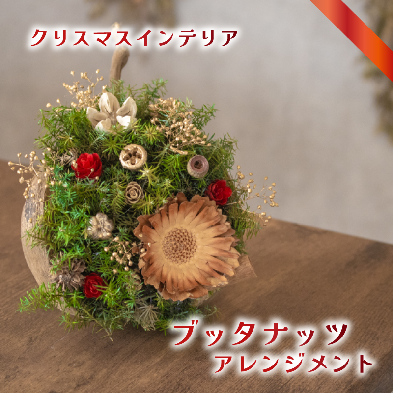 クリスマス ブッダナッツアレンジメント ブッダナッツアレンジメント