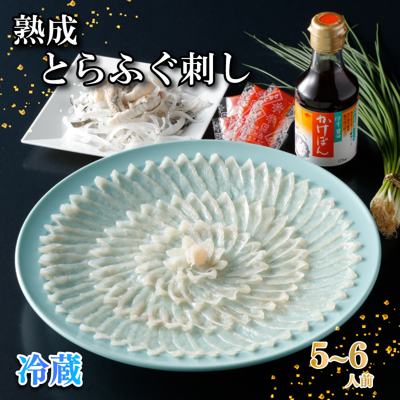 【お届け指定日必須】 熟成 とらふぐ 刺し 5～6人前 冷蔵 5～6人前