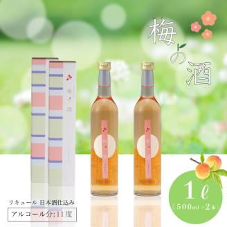 梅の酒 リキュール 500ml × 2本 日本酒 梅酒 フルーティー 下関 山口