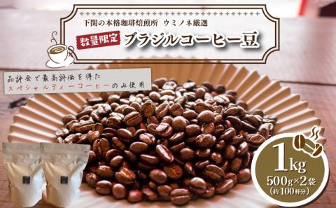 [豆]訳あり コーヒー豆 1kg ( 500g × 2袋 ) ブラジル 再入荷 2024年度入荷分 出荷当日 自家焙煎 スペシャルティコーヒー 数量限定 珈琲 コーヒー 下関 山口 EW144-A