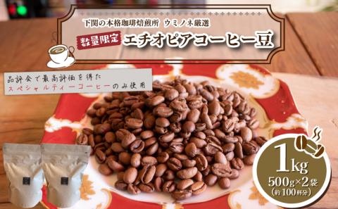 [中深煎り] 訳あり コーヒー豆 1kg ( 500g × 2袋 ) 数量限定 エチオピア 珈琲 自家焙煎 下関 山口