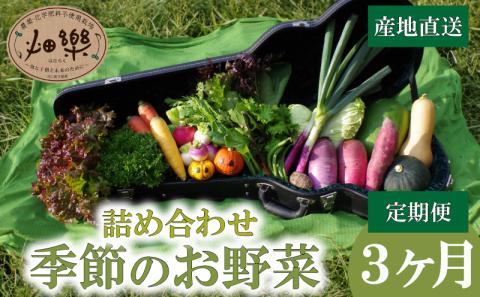 [定期便3ヶ月]旬の 野菜 詰め合わせ 7〜9品 産地直送