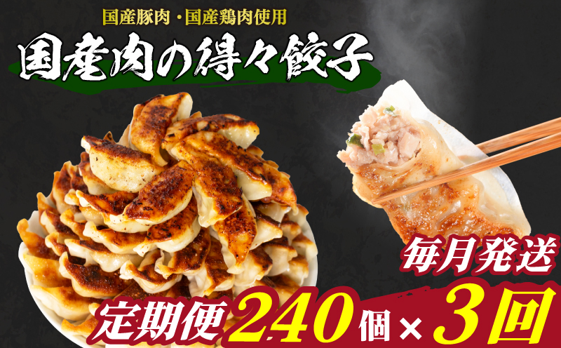 訳あり 国産肉の得々餃子 3回 毎月 定期便 240個 20個×12パック 冷凍