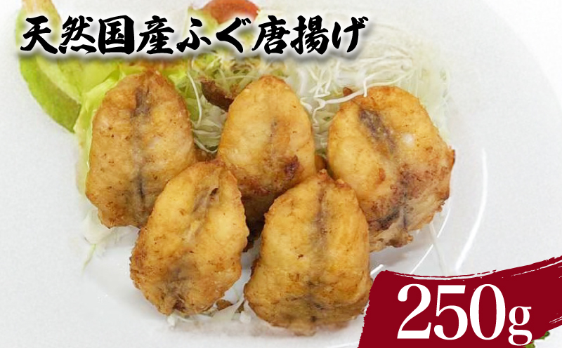 天然国産 ふぐ から揚げ 250g 下関 山口