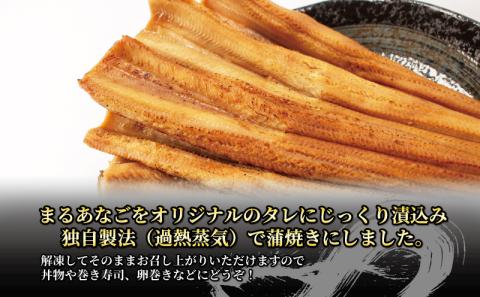 数量限定 訳あり 業務用 レンチン まるあなご蒲焼き（11-15尾 1kg）