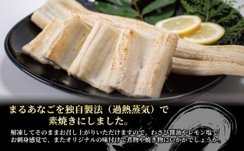 数量限定 訳あり 業務用 レンチン まるあなご素焼き（11～15尾 1kg）