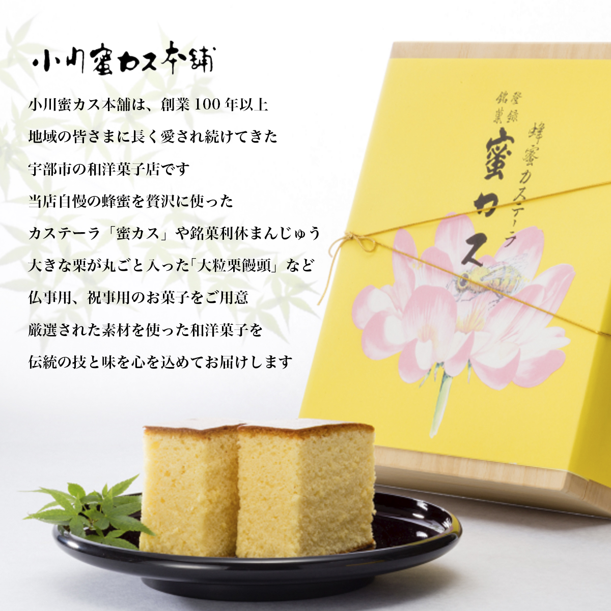【ANA限定】蜂蜜カステーラ 『蜜カス』・懐中しるこ詰め合わせセット