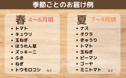 【3ヶ月定期便】新鮮野菜の産直 7～10品目 ＜楠こもれびの郷「楠四季菜市」＞