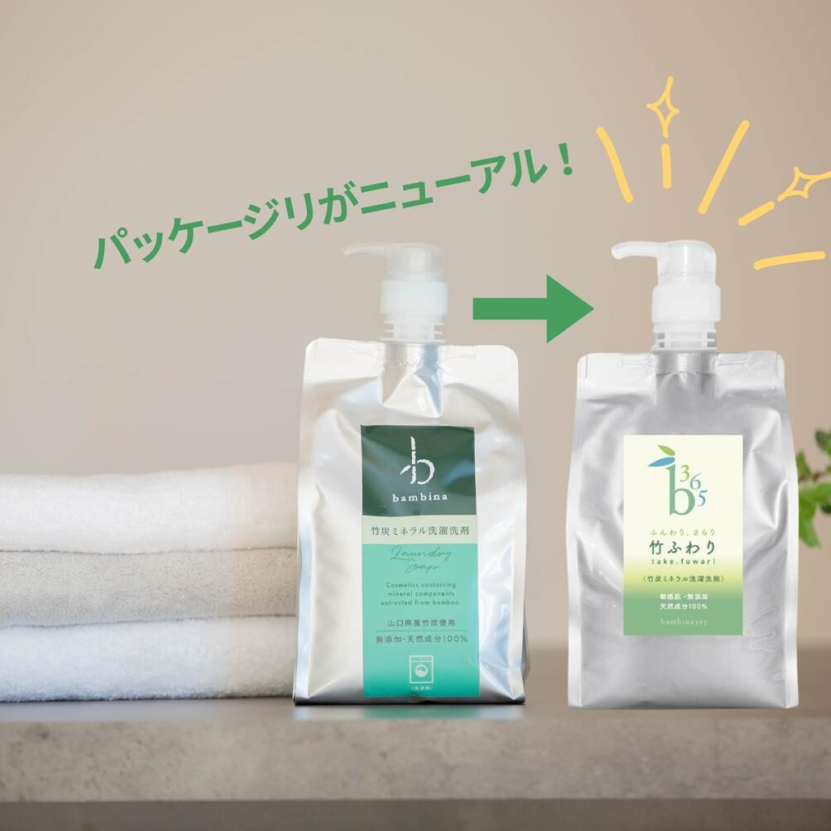 【パッケージリニューアル】竹ふわり (竹炭ミネラル洗濯洗剤) 1000ml×２本 定期便（5カ月お届け）