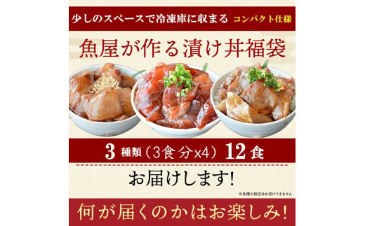 漬け丼 3種×4パック 計12食セット | 漬け丼 海鮮 惣菜 冷凍 真空パック 小分け 海鮮丼 海鮮セット 詰め合わせ 旬の鮮魚 ハマチ カンパチ カツオ 鯖 サバ ヒラマサ 平政 マグロ アジ ヒラメ 鯛 漬け づけ丼 お茶漬け ごはん 山口県 宇部市