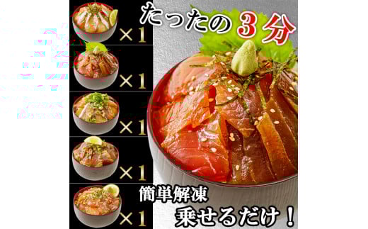 【3ヶ月 定期便】漬け丼 5種×1パック 計5食セット | 定期便 漬け丼 海鮮 惣菜 冷凍 真空パック 小分け 海鮮丼 海鮮セット 詰め合わせ 旬の鮮魚 ハマチ カンパチ カツオ 鯖 サバ ヒラマサ 平政 マグロ アジ ヒラメ 鯛 漬け づけ丼 お茶漬け ごはん 山口県 宇部市