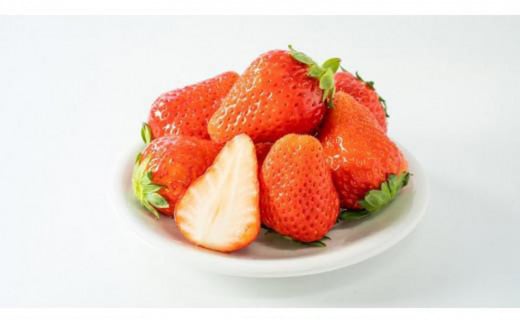 【先行予約】いちご４品種食べ比べ　300ｇ×4パック