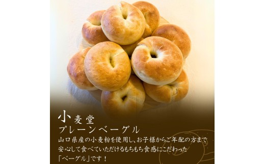 【訳あり】プレーンベーグル 10個セット