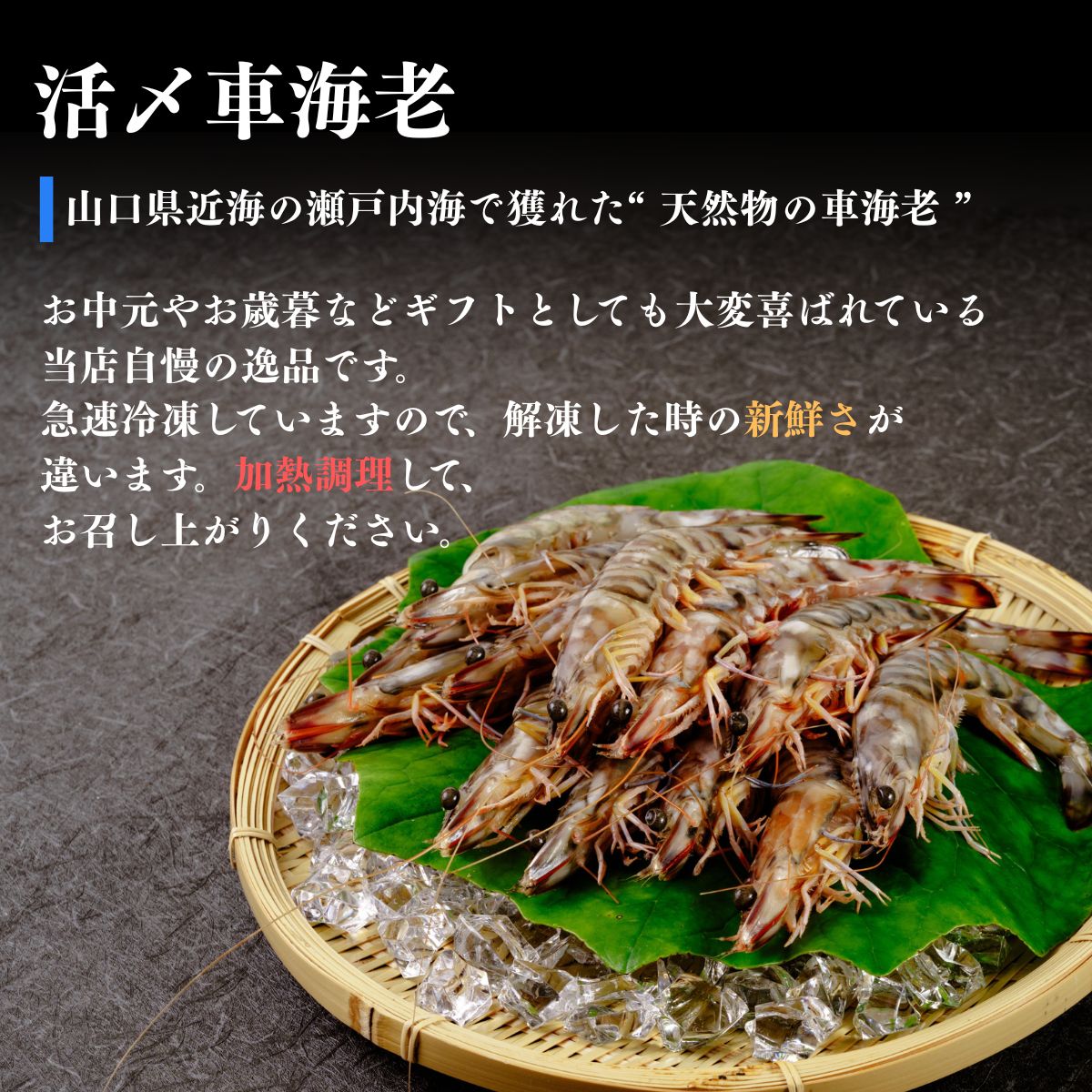 【活き〆】冷凍車海老 12尾 400g （化粧箱）