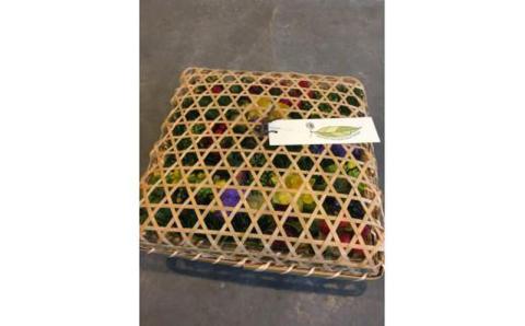 季節の花弁当（生花アレンジメント）