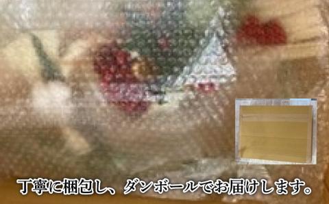 クリスマスハーフリース 花 手作り アレンジメント ドライフラワー プリザーブドフラワー インテリア 贈り物 CW02-FN