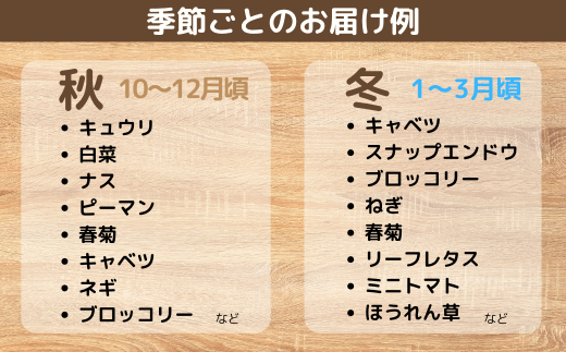 【3ヶ月定期便】新鮮野菜の産直 7～10品目 ＜楠こもれびの郷「楠四季菜市」＞
