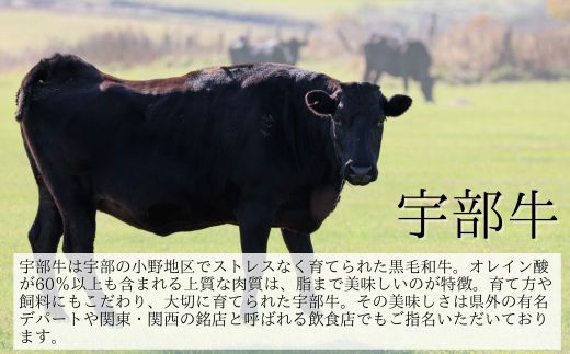 ★離島配送不可★【宇部牛】 リブローススライス肉 700g