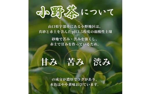 【山口のお茶】小野茶 大(490ml) 24本入り