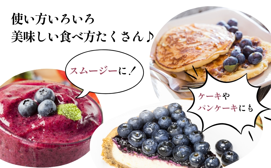【訳あり】 山口県宇部産 業務用冷凍ブルーベリー 10kg | 冷凍ブルーベリー 冷凍 果物 フルーツ 美容 スムージー 10kg 10キロ ブルーベリー 完熟 急速 新鮮 アントシアニン 目 抗酸化 肌 老化防止 血流 冷え性 脳卒中 効果 健康 栄養 甘み 酸味 バランス 食べやすい おやつ デザート フルーツ 果実 くだもの 訳あり 山口県 宇部市