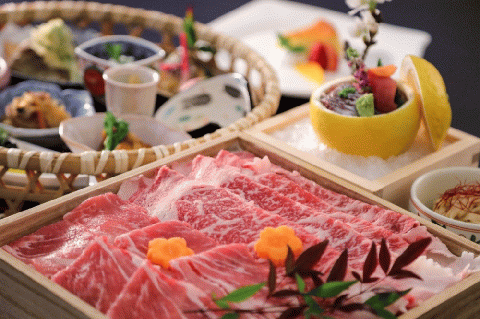 ホテルTOKIWAN ご宿泊補助券 100,000円分 ペットと泊まれる 宿 ホテル 旅行 宿泊券 宇部 山口