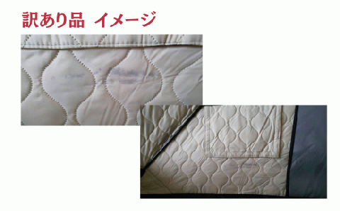 訳あり品)サウナテント アマテンホワイト