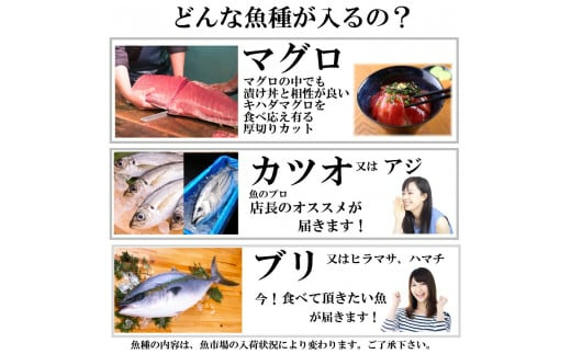 漬け丼 3種×4パック 計12食セット | 漬け丼 海鮮 惣菜 冷凍 真空パック 小分け 海鮮丼 海鮮セット 詰め合わせ 旬の鮮魚 ハマチ カンパチ カツオ 鯖 サバ ヒラマサ 平政 マグロ アジ ヒラメ 鯛 漬け づけ丼 お茶漬け ごはん 山口県 宇部市