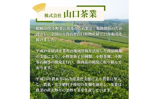 【山口のお茶】小野茶 大(490ml) 24本入り