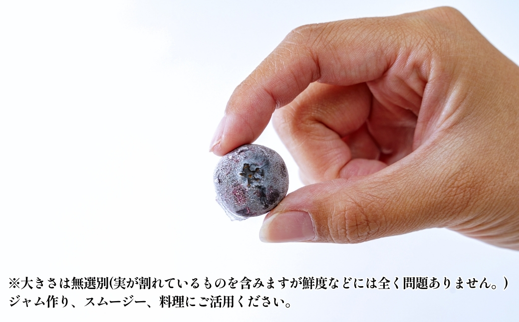 【訳あり】 山口県宇部産 業務用冷凍ブルーベリー 10kg | 冷凍ブルーベリー 冷凍 果物 フルーツ 美容 スムージー 10kg 10キロ ブルーベリー 完熟 急速 新鮮 アントシアニン 目 抗酸化 肌 老化防止 血流 冷え性 脳卒中 効果 健康 栄養 甘み 酸味 バランス 食べやすい おやつ デザート フルーツ 果実 くだもの 訳あり 山口県 宇部市