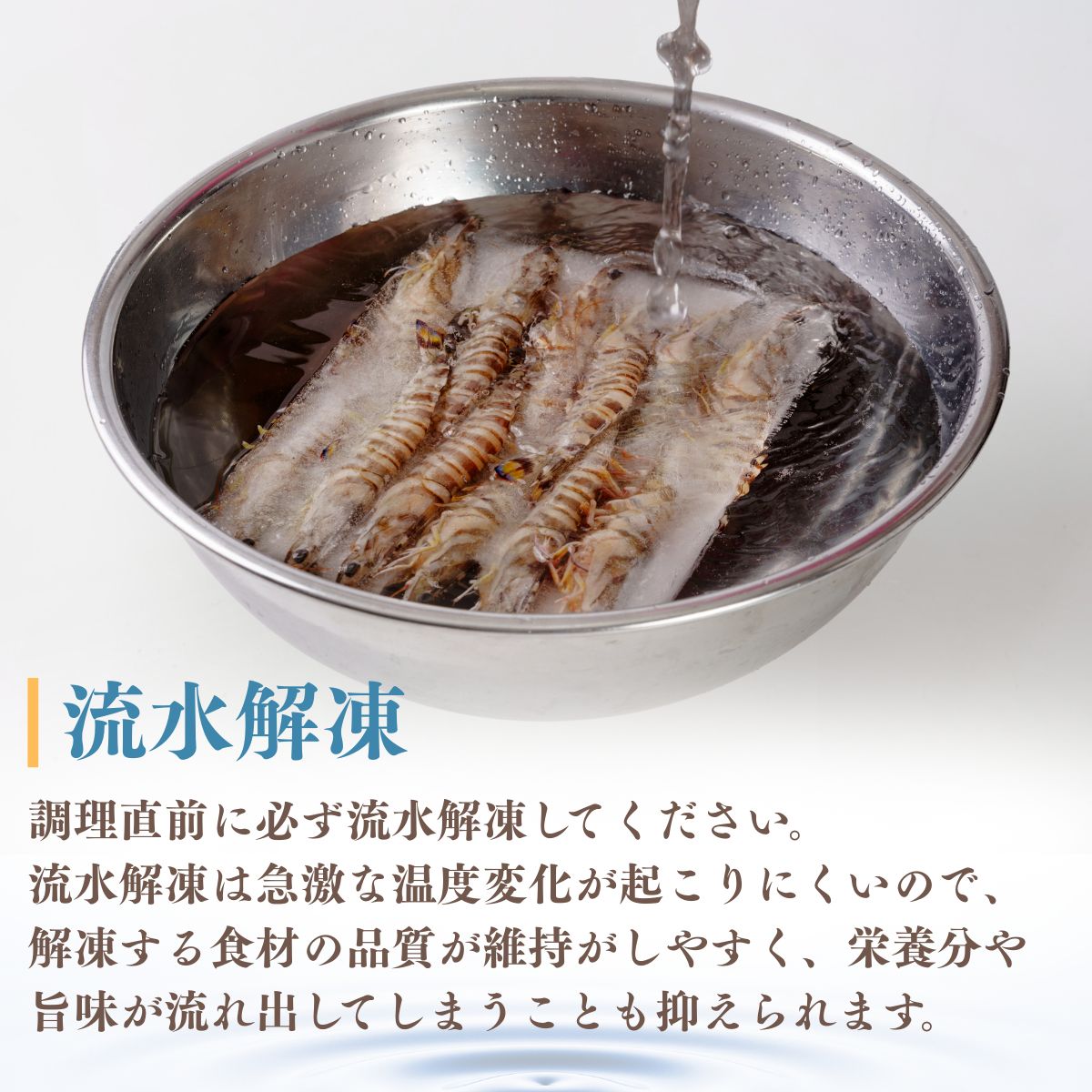 【活き〆】冷凍車海老 12尾 400g （化粧箱）