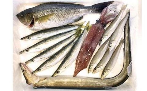 ★北海道・沖縄県・離島配送不可★【魚千代】地魚詰合せ