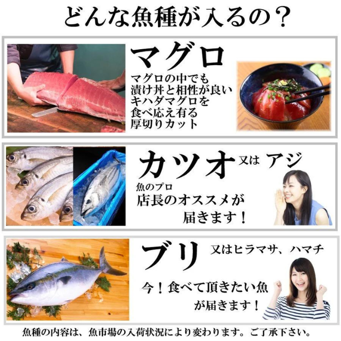 漬け丼 3種×2パック 計6食セット | 漬け丼 海鮮 惣菜 冷凍 真空パック 小分け 海鮮丼 海鮮セット 詰め合わせ 旬の鮮魚 ハマチ カンパチ カツオ 鯖 サバ ヒラマサ 平政 マグロ アジ ヒラメ 鯛 漬け づけ丼 お茶漬け ごはん 山口県 宇部市
