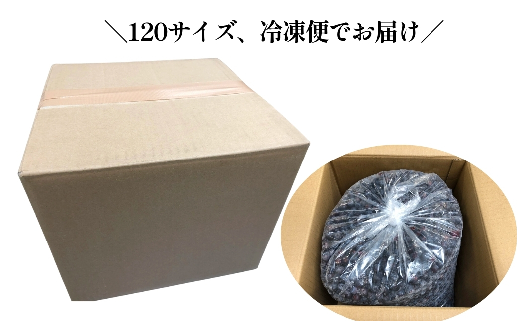 【訳あり】 山口県宇部産 業務用冷凍ブルーベリー 10kg | 冷凍ブルーベリー 冷凍 果物 フルーツ 美容 スムージー 10kg 10キロ ブルーベリー 完熟 急速 新鮮 アントシアニン 目 抗酸化 肌 老化防止 血流 冷え性 脳卒中 効果 健康 栄養 甘み 酸味 バランス 食べやすい おやつ デザート フルーツ 果実 くだもの 訳あり 山口県 宇部市