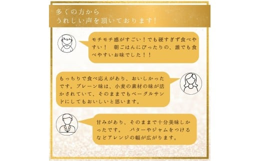 【訳あり】プレーンベーグル 10個セット