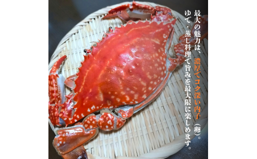 ワタリガニ 冷蔵 ワタリガニ メス 2杯 (約800g)