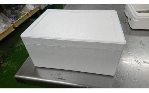 【北海道・東北・沖縄・離島配送不可／着日指定必須】宇部産　ワタリガニ　約600ｇ　2～3杯入り