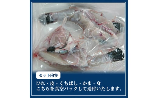 【北海道・東北・沖縄・離島配送不可／着日指定必須】市場直送！ふぐ 身欠き 1匹分 600g前後 山口県 宇部市 ふぐ ふぐ刺し 冷蔵 生 未冷凍 年内配送