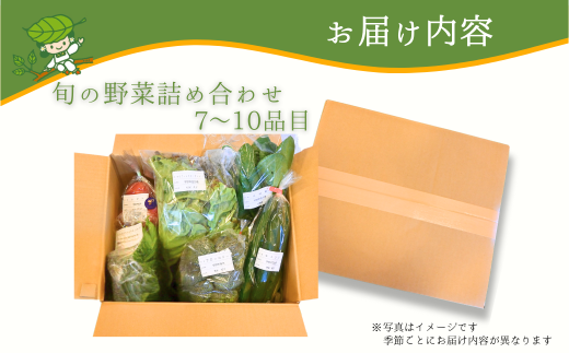 【3ヶ月定期便】新鮮野菜の産直 7～10品目 ＜楠こもれびの郷「楠四季菜市」＞