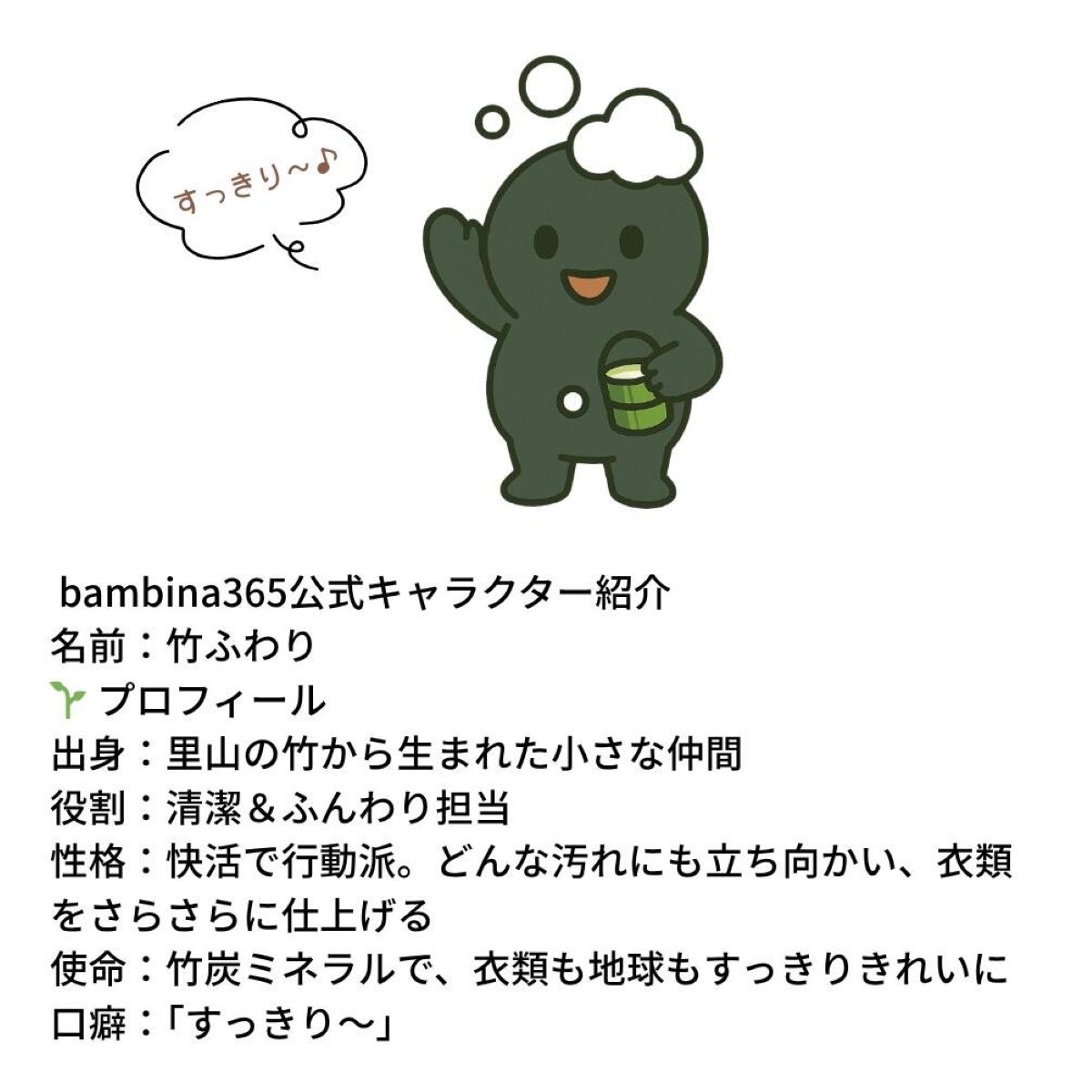 【パッケージリニューアル】竹ふわり (竹炭ミネラル洗濯洗剤) 1000ml×２本 定期便（5カ月お届け）