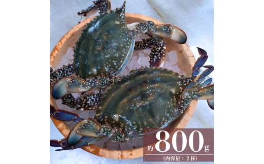 ワタリガニ 冷蔵 ワタリガニ メス 2杯 (約800g)
