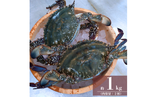 ワタリガニ 冷蔵 ワタリガニ メス 2杯 (約1kg)
