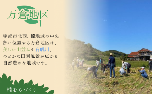 【3ヶ月定期便】新鮮野菜の産直 7～10品目 ＜楠こもれびの郷「楠四季菜市」＞