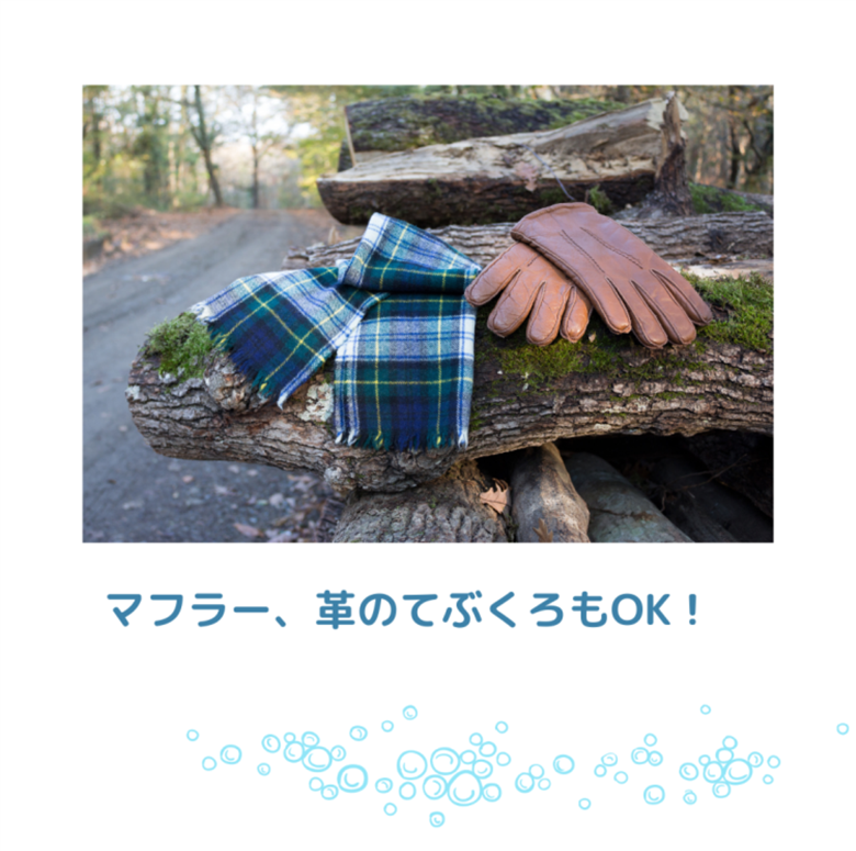 【パッケージリニューアル】竹ふわり (竹炭ミネラル洗濯洗剤) 1000ml×２本 定期便（5カ月お届け）