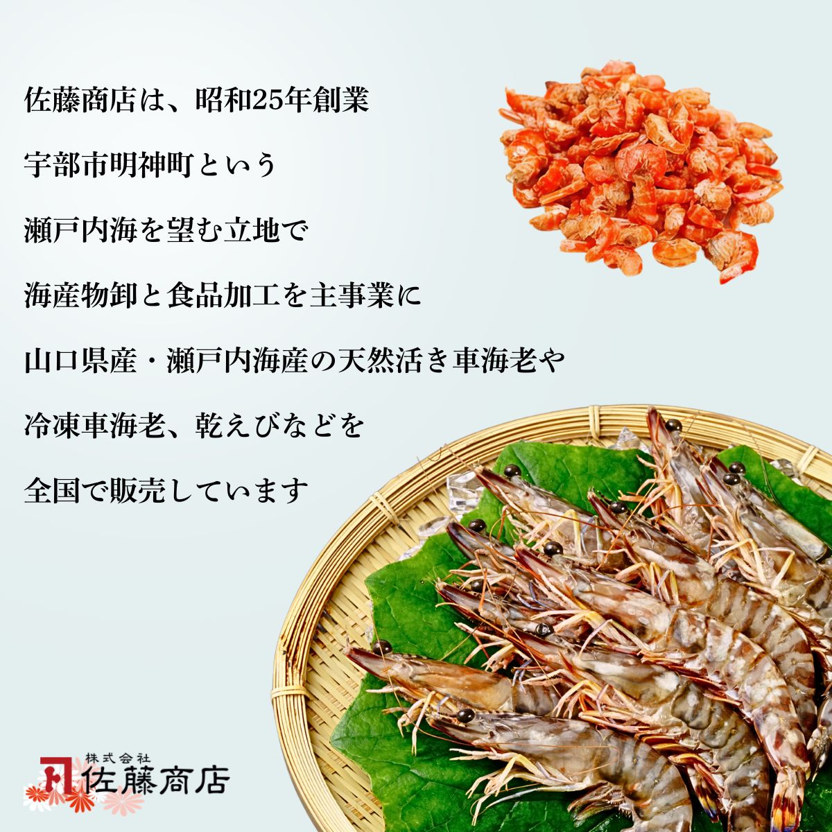 【冷凍】 海老4種食べ比べセット