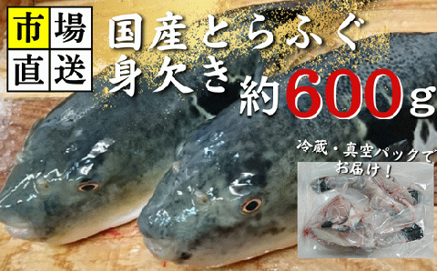 【北海道・東北・沖縄・離島配送不可／着日指定必須】市場直送！ふぐ 身欠き 1匹分 600g前後 山口県 宇部市 ふぐ ふぐ刺し 冷蔵 生 未冷凍 年内配送